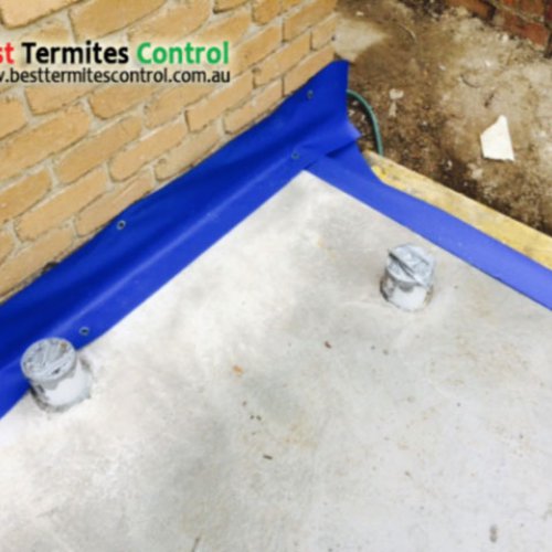 HomeGuard Application for Termite Protection in Melbourne