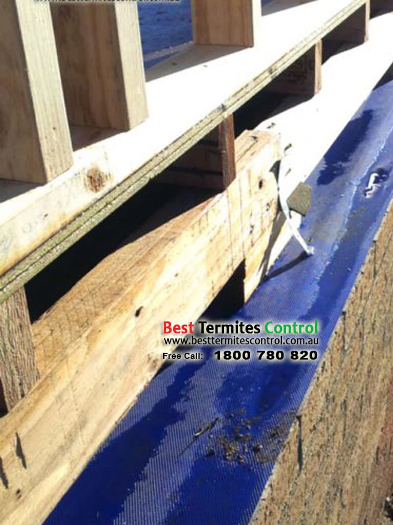 Termite Protection Home Structure Doncaster