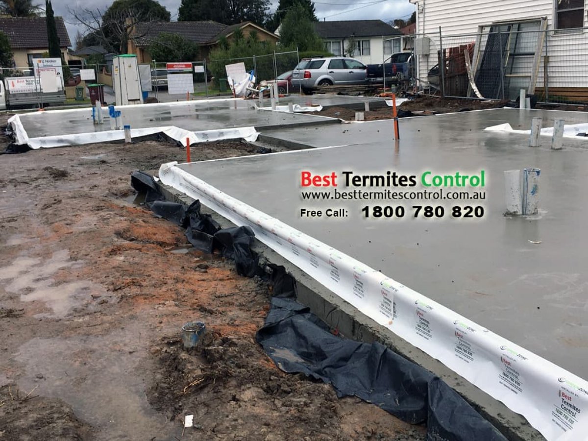 Green Zone Termiticide Treated Sheeting System to Slab Perimeter in Burwood -2
