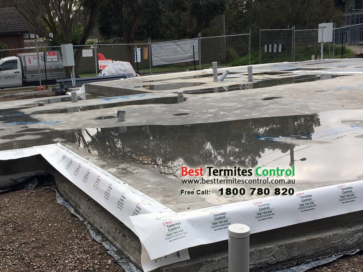 Green Zone Termiticide Treated Sheeting System to Slab Perimeter in Burwood -1