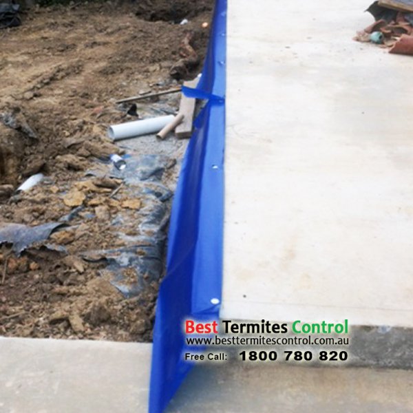 HomeGuard Installed Termites Control in Bayswater