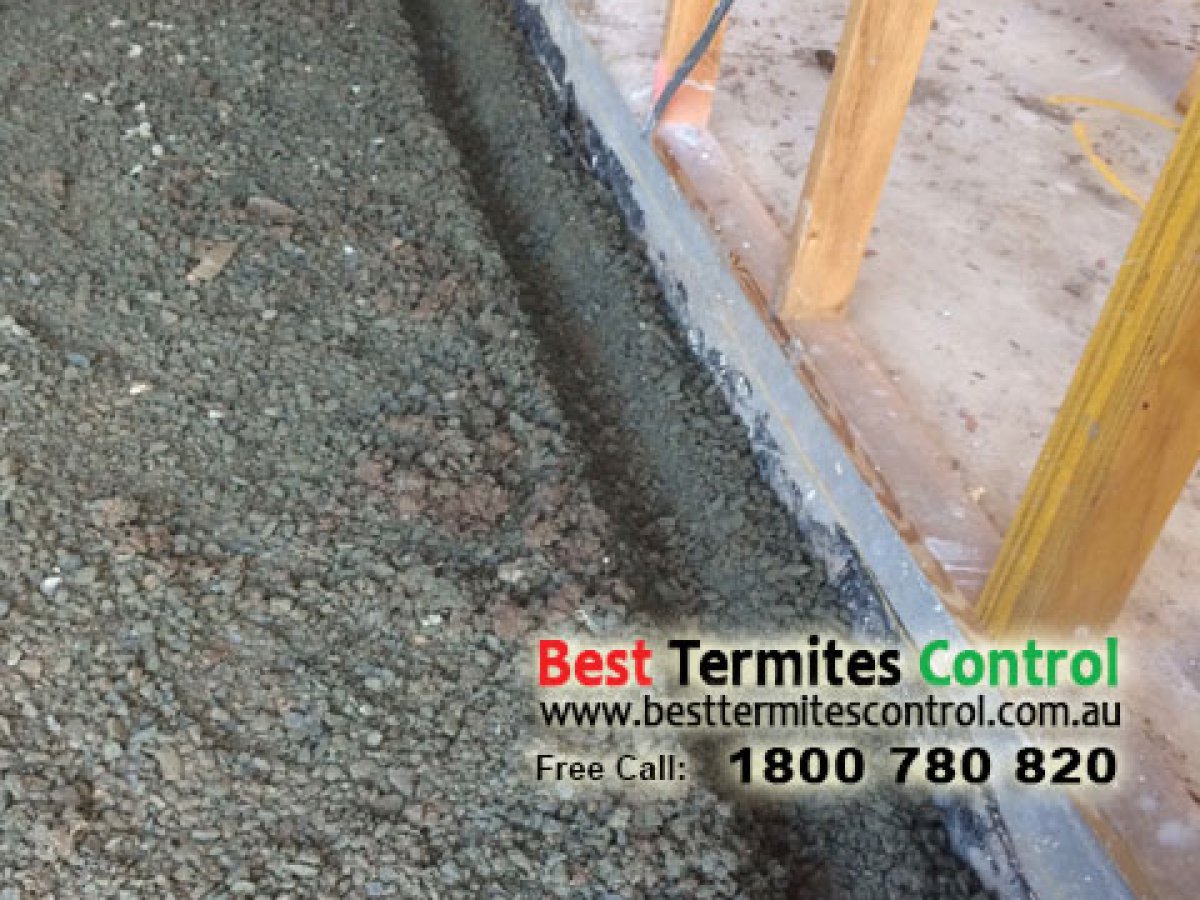 Installed Termites Protection Reticulation system in Burwood
