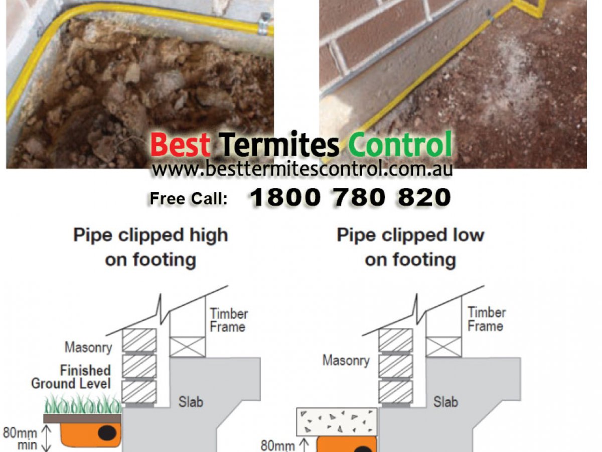 Termite Protection - Reticulation System