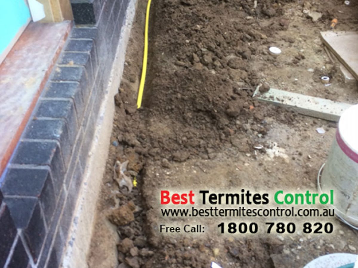 Termite Protection Solutions - Reticulation System