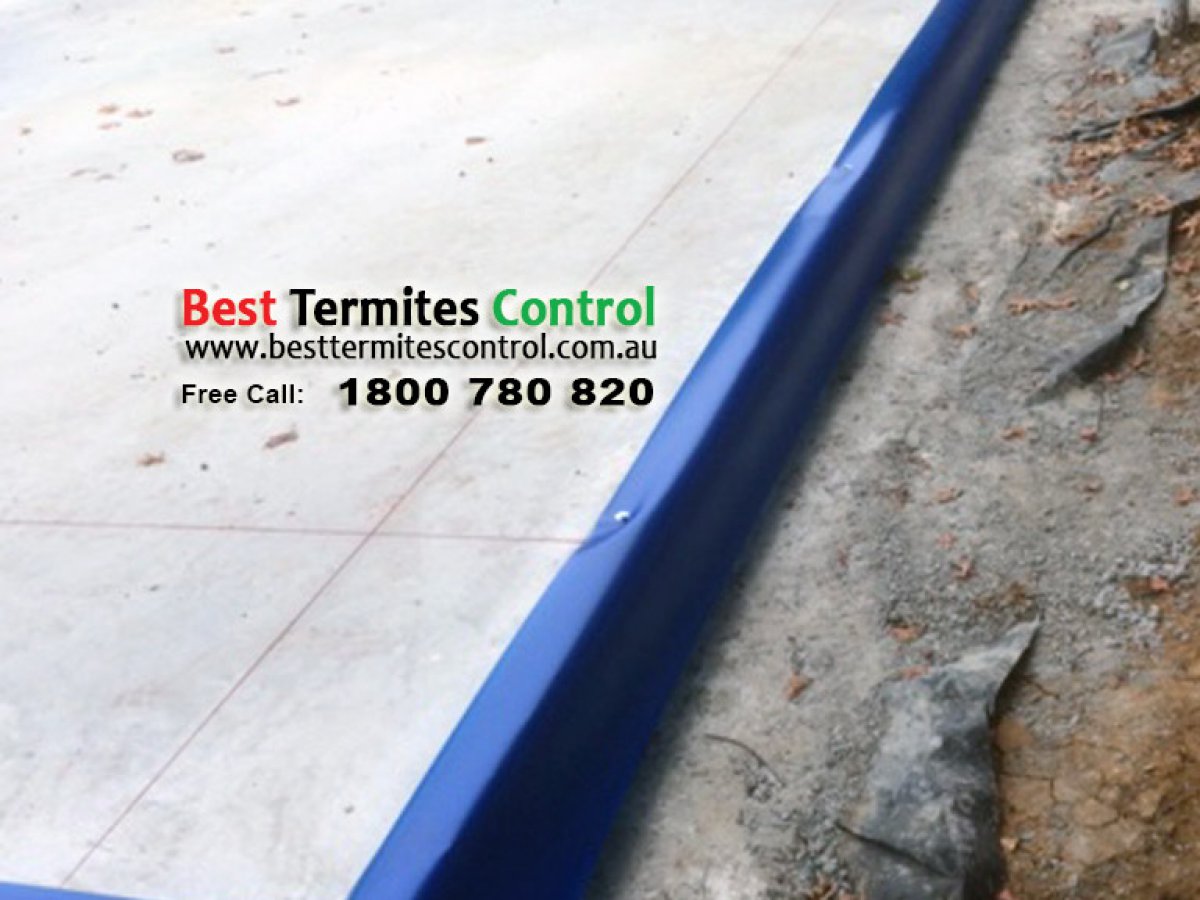 HomeGuard Installed Termites Protection in SurryHill Home