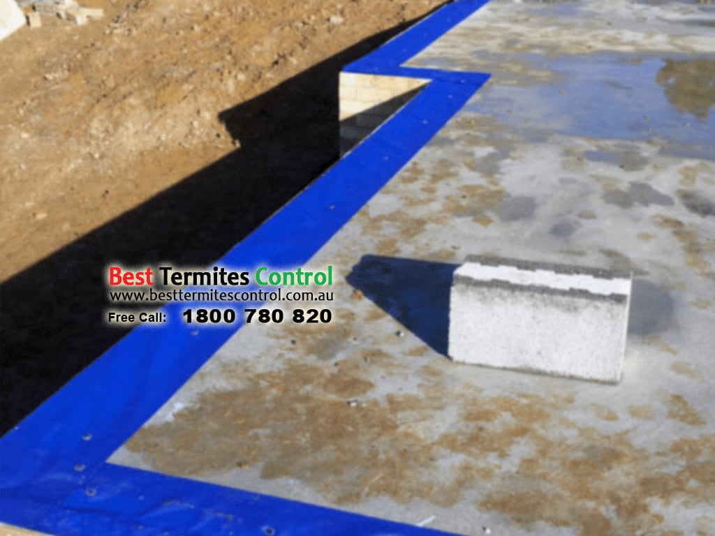 Termite Protection Home Base System in Melbourne