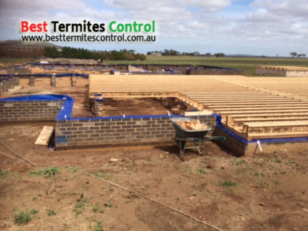 Part A Termite Treatment for new homes