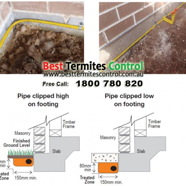 Termite Protection - Reticulation System